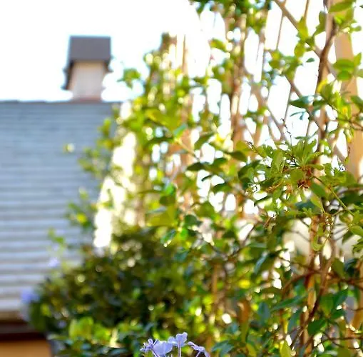 La Corte & Breakfast *