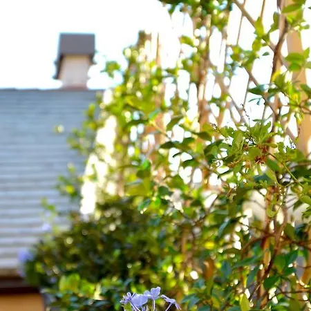 La Corte & Breakfast *